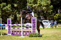 13. Combined Horse Transport Mini Prix