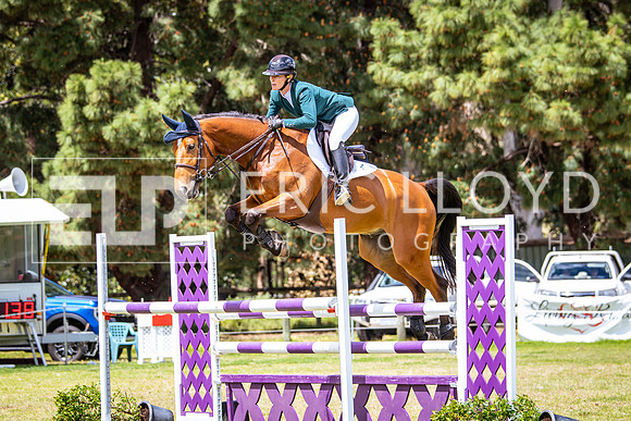 IMGP0204