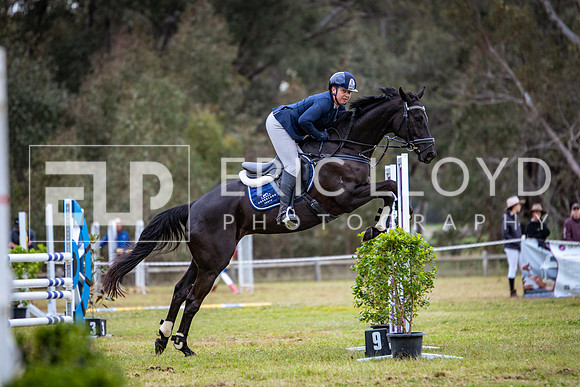 IMGP2223