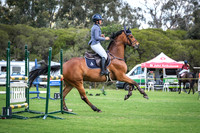 4 - Budget Stockfeeds Ruby Championship 100cm