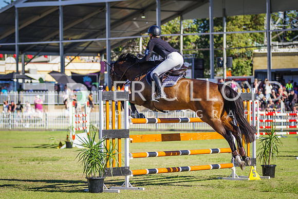 IMGP4067