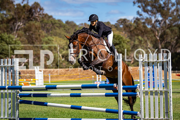 IMGP6984