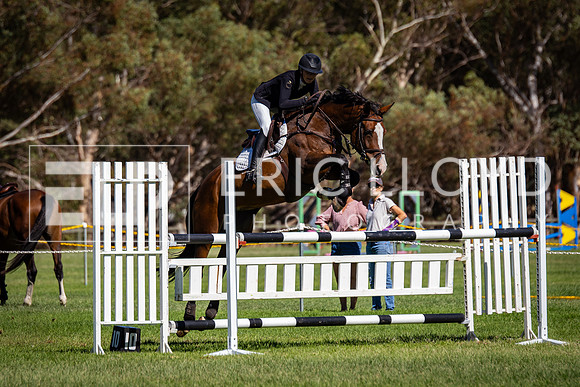 IMGP6993