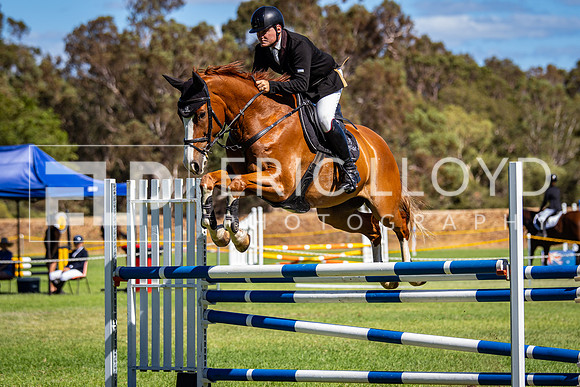 IMGP7068