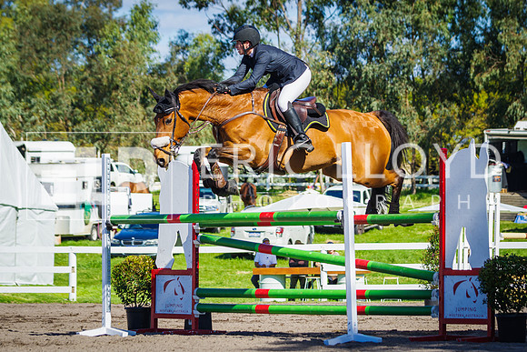 IMGP8582