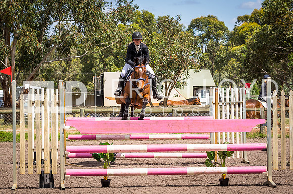 ERIC4028