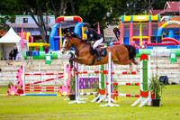 712 - Part 3 Horses - Table A