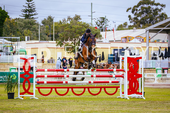 IMGP1960