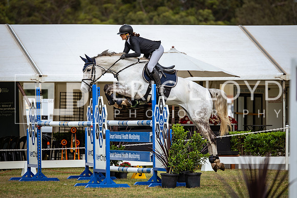 IMGP5512