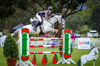5B. QUICKMAIL & JWA YOUNG RIDER SERIES AM5