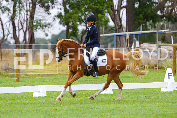 IMGP0827