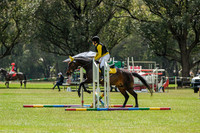 DSCF2171