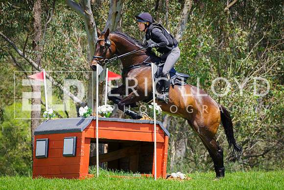 IMGP8899