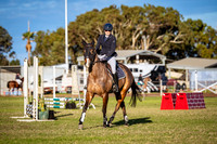 16a Catwest & 16b. PCA PJ&AM Thorp 40cm