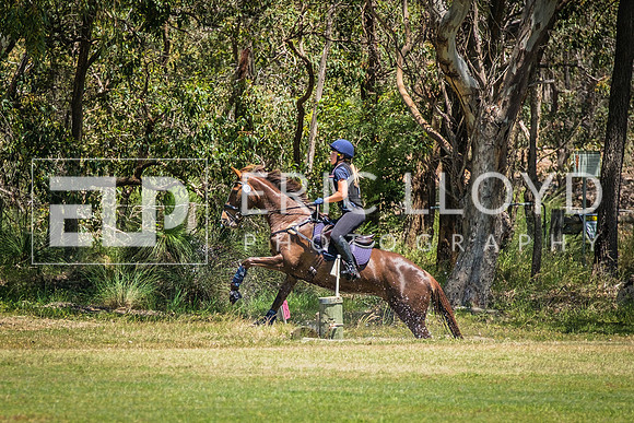 DSCF1656