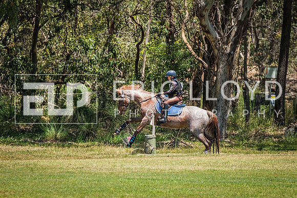 DSCF1701