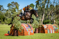 Freedom Serpentine Pony Club Grand Prix 2025