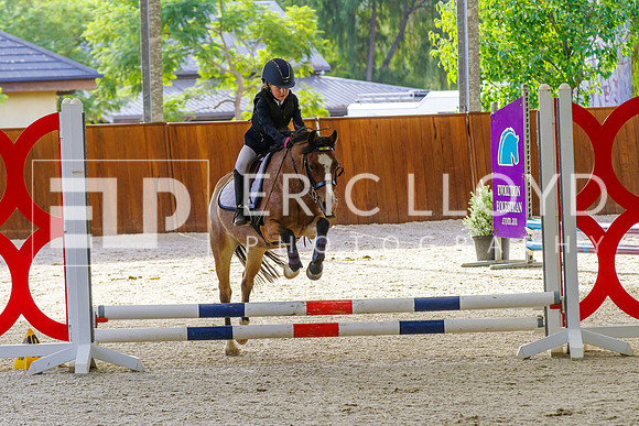 IMGP7695