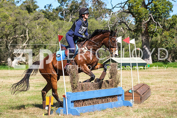 DSCF6034