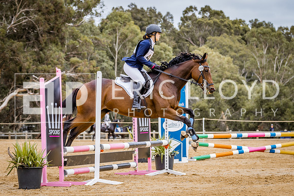 WAYER 2023-5554