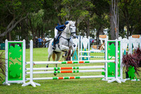 24A. Hanson Property Group 95cm Junior Classic for Riders 18 and Under AM5