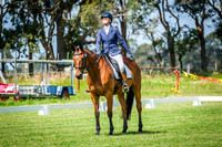 Dressage 10am - 11.45