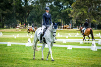 Dressage 11.45 - 12.40