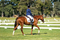 Dressage 8am - 10am