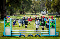 Section 8  Sjumps PC65