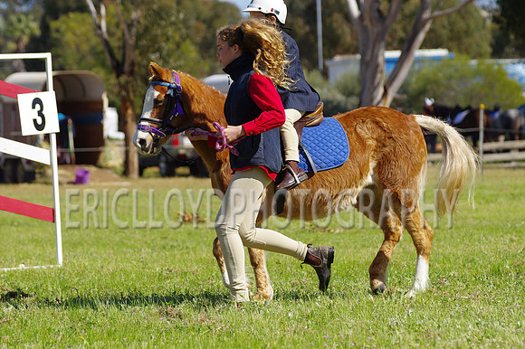 Bev Ag 2014-5168