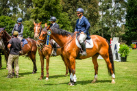 DSCF2768