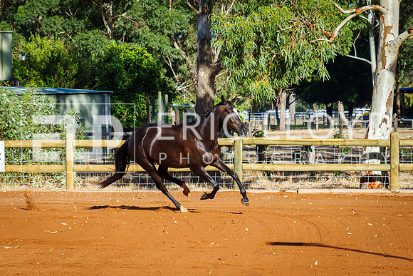 IMGP5943