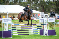 DSCF3005