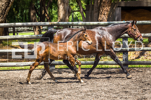 untitled-3711