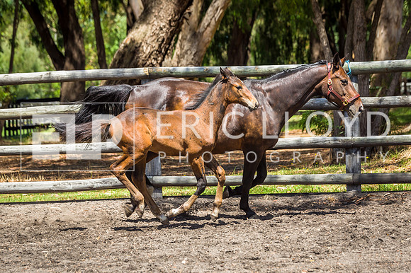 untitled-3723