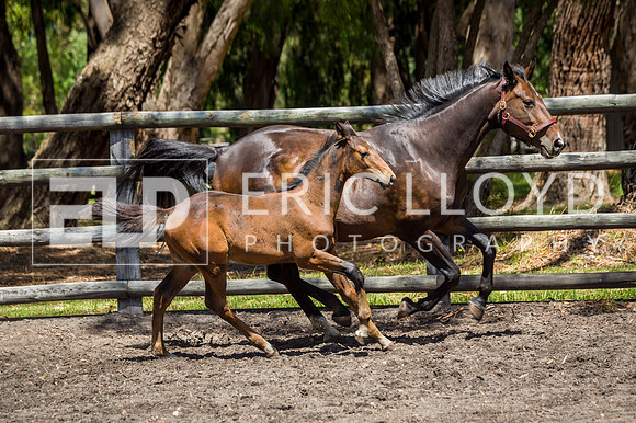 untitled-3724