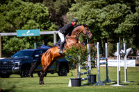 4. Parlanti Passion & Verdedus Protection 1.35m