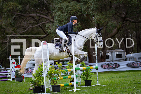 IMGP6269