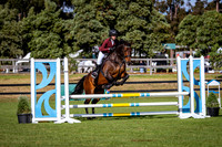21a. Duncan Equine Open 80cm