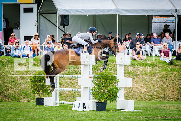 DSCF3794