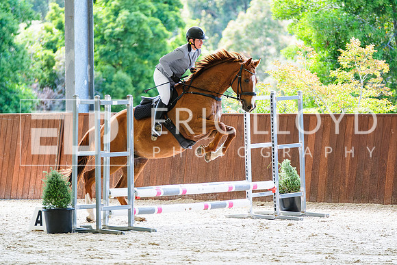 DSCF9463