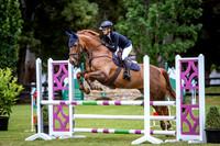 22a. Duncan Equine Open 90cm