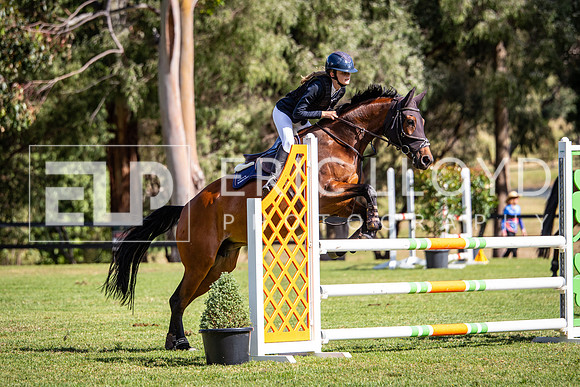 IMGP7088
