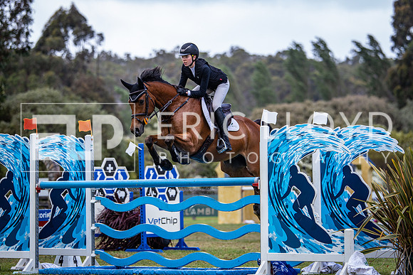 IMGP1009