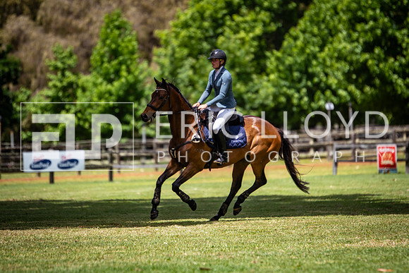 IMGP1055