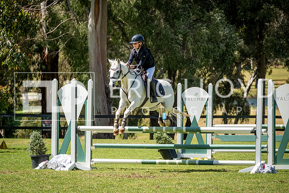 DSCF0762 (3)