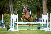 DSCF2011 (2)