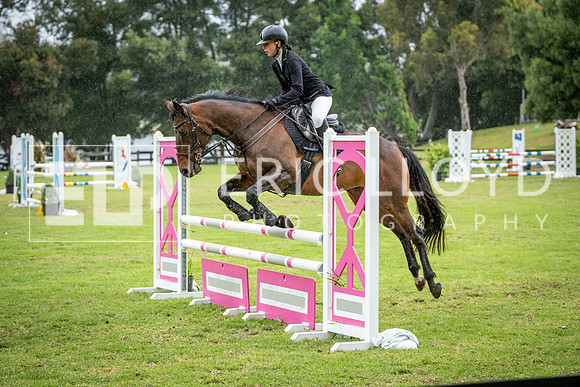 DSCF2057 (2)