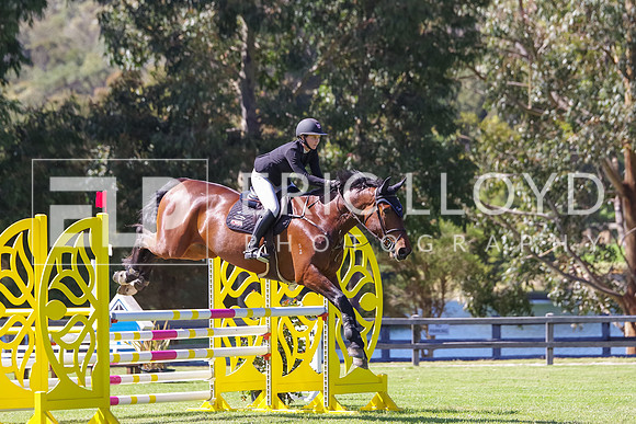 IMGP8416