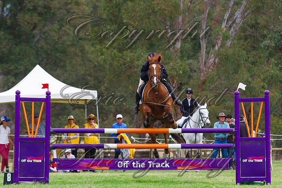ERIC1611